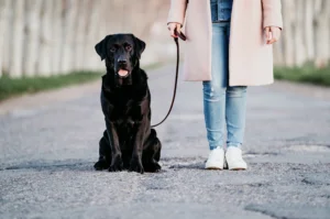 Un entrepreneur devra surmonter des obstacles dans le développement de son activité, la clé est de perséverer !